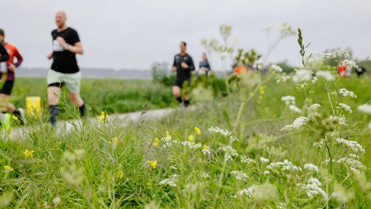 Hardlopers op een groen parcours tijdens een trailrun